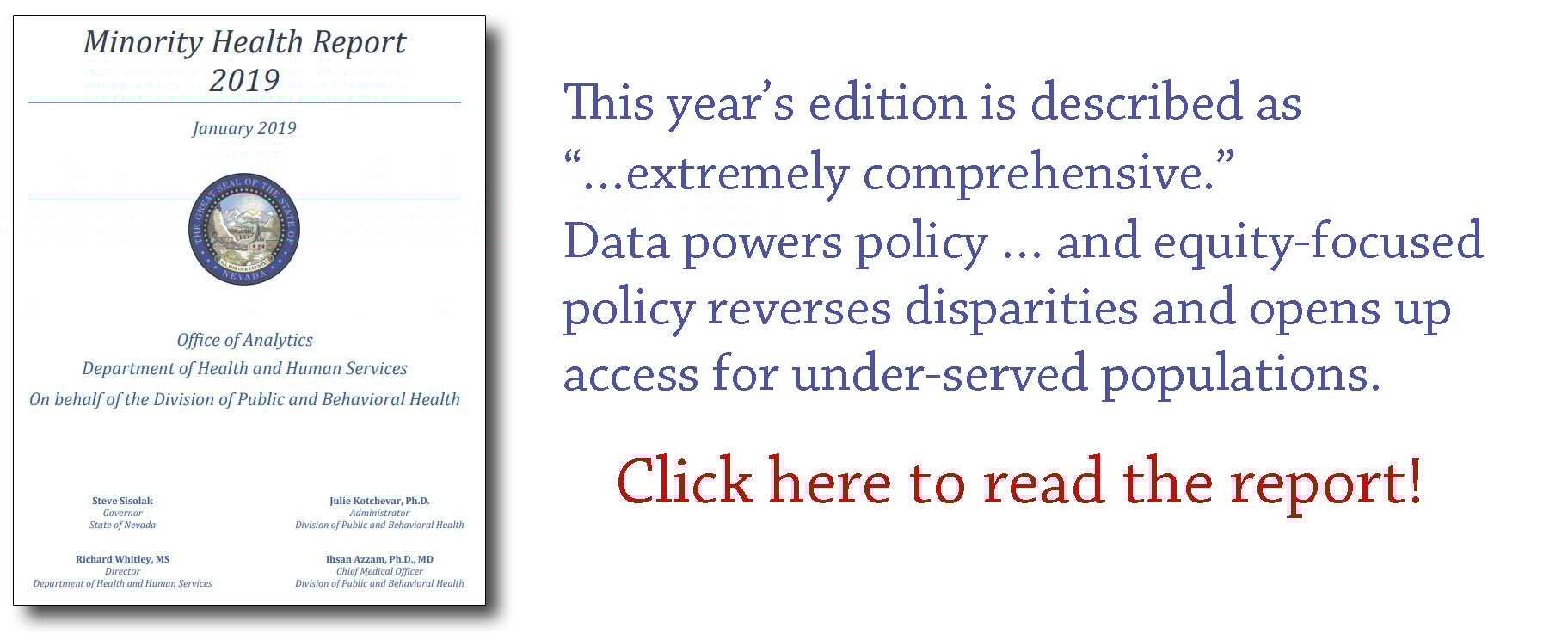 2019 Nevada Department of Health and Human Services Minority Health Report link